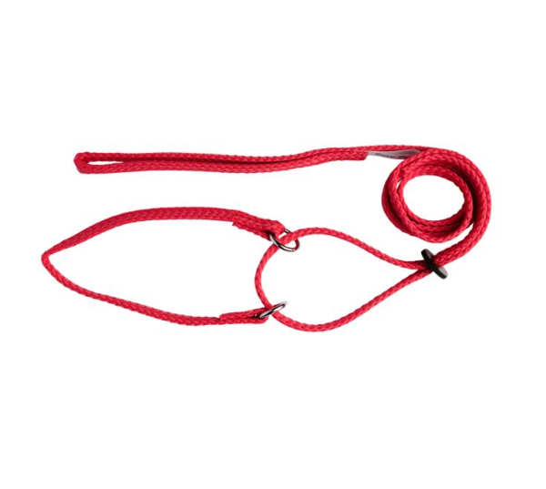 Beau Pets - Martingale Show Lead - Image 2