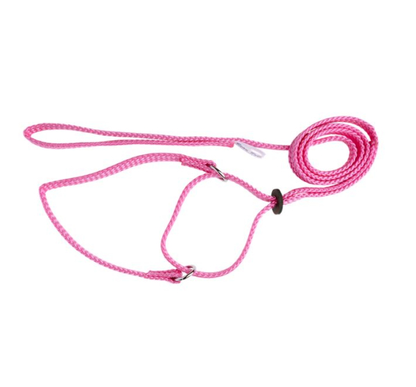 Beau Pets - Martingale Show Lead - Image 3