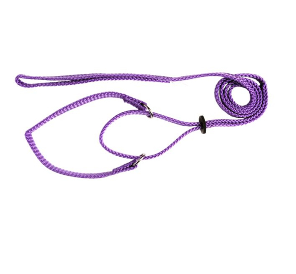 Beau Pets - Martingale Show Lead - Image 4