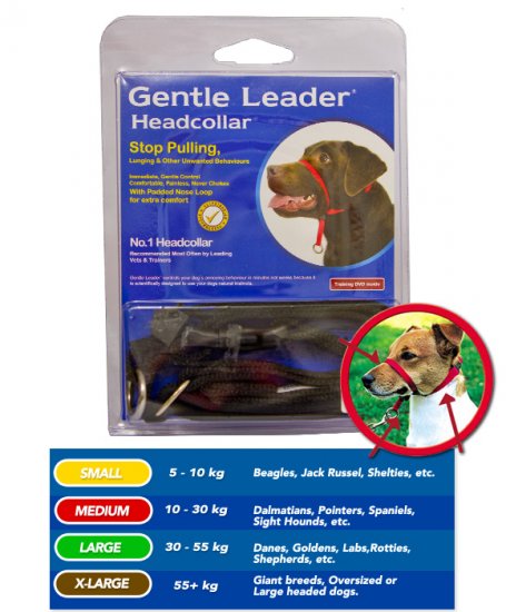 Beau pets deals gentle leader