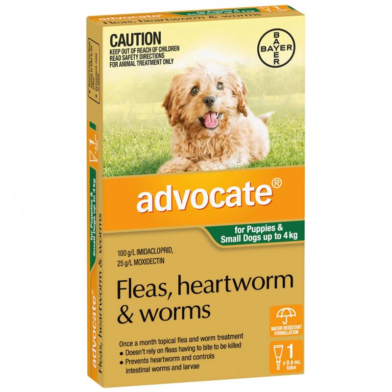 Puppies & Kittens - Flea & Worm Control - Agline