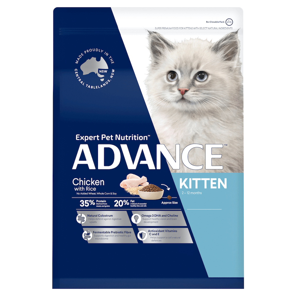 advance-kitten-chicken-agline