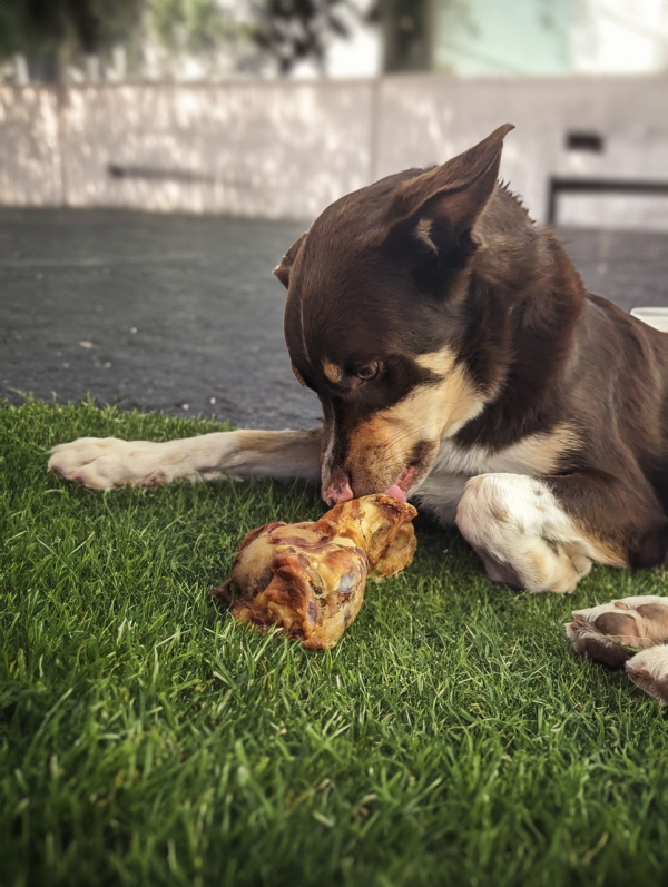 Huds and Toke - Smoked Pork Bone - Image 3