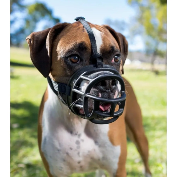 Company of Animals - Baskerville Ultra Muzzle - Image 7