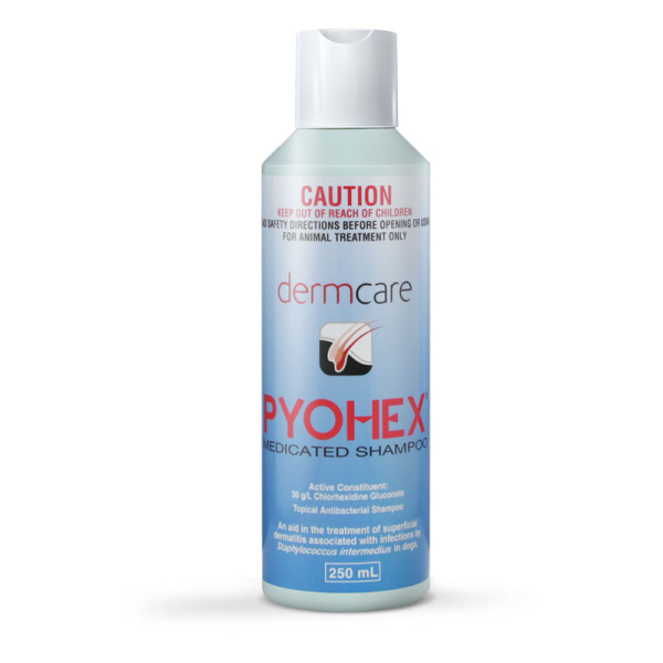 Dermcare - Pyohex Medicated Shampoo