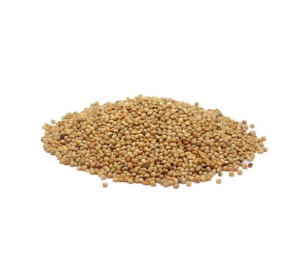 Falcon Seeds - White Millet