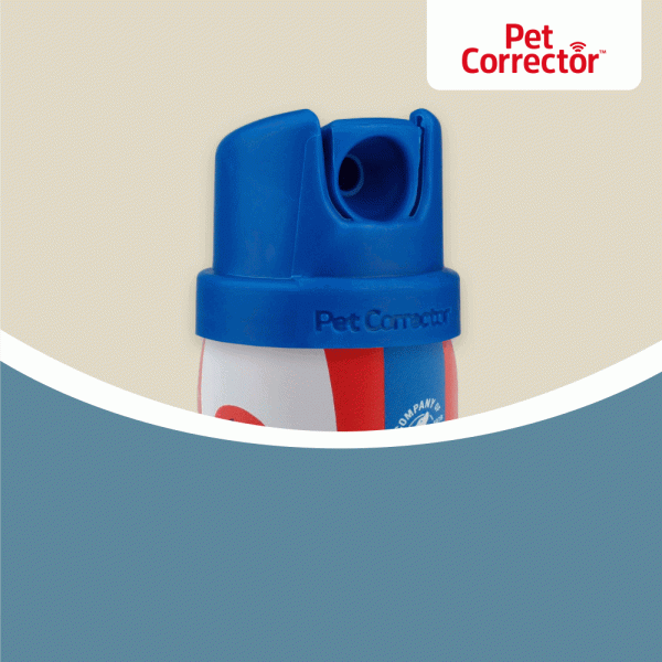 Company of Animals - Pet Corrector - Image 2