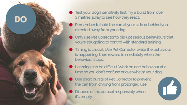 Company of Animals - Pet Corrector - Image 6