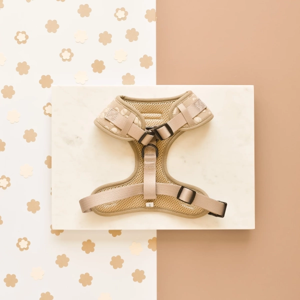 Cocopup London - LUXE Adjustable Neck Harness - Mocha Flower - Image 4