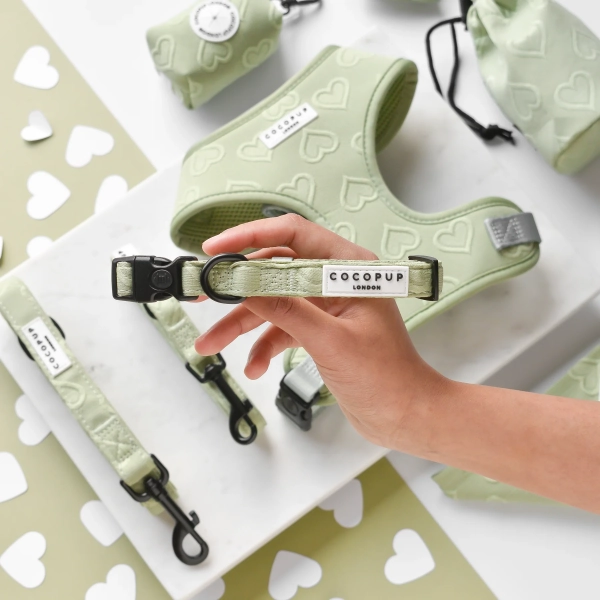 Cocopup London - LUXE Dog Collar - Sage Heart