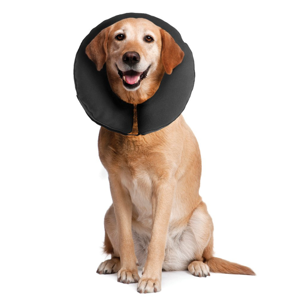 ZenPet - ZenCollar - Comfortable Recovery Collar - Image 6