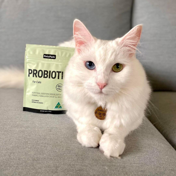 PetzPark - Probiotic - For Cats - Image 4