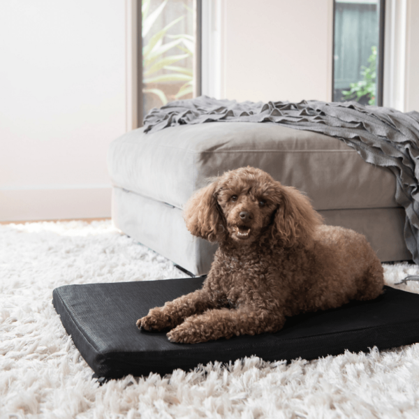 Superior Pet - Dog Mat - Heavy Duty Flea-Free - Image 2