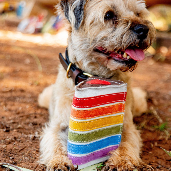 Georgie Paws - Rainbow Cake - Image 3