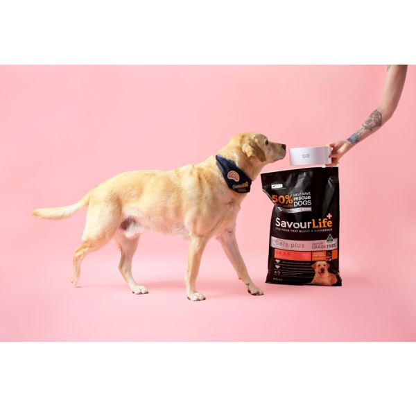 SavourLife - Adult Dog - Care plus - GRAIN FREE - Lean with Australian Turkey - Image 6