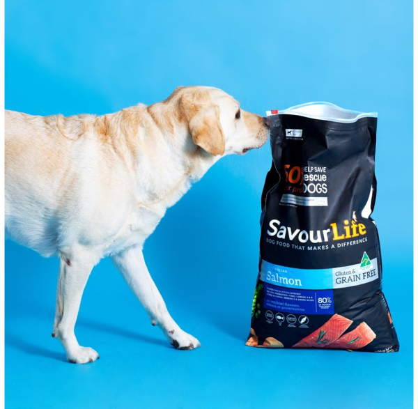 SavourLife - Adult Dog - GRAIN FREE - Australian Salmon - Image 5